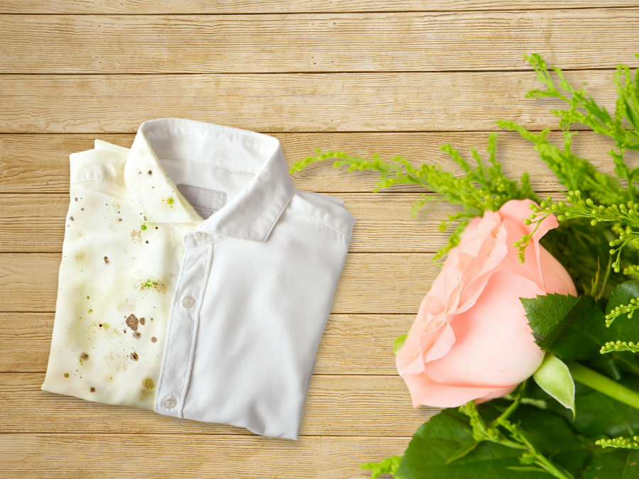 Anti-mildew and moisture-proof solutions for clothing